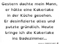 Kakerlake in der Kche