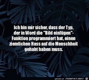 Programmierer-von-Word.jpg auf www.funpot.net