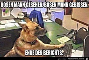 Der-Bericht-ist-schnell-fertig.jpg auf www.funpot.net