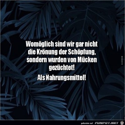 Krone-der-Sch&ouml;pfung.jpg von Alina