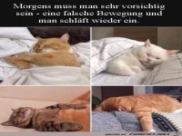 Morgens vorsichtig sein