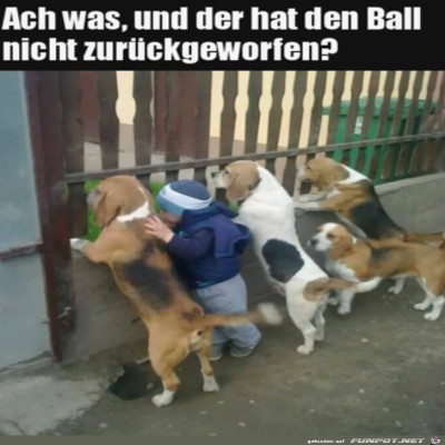 Wo-ist-der-Ball?.jpg von Pius