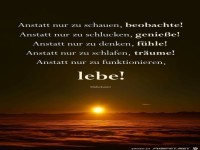 Anstatt nur zu schauen