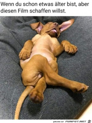 Tiefenentspannt.jpg auf www.funpot.net