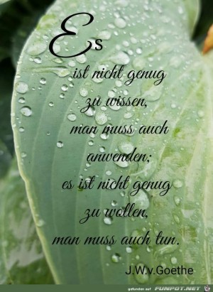 Es-ist-nicht-genug-zu-wissen.jpg auf www.funpot.net