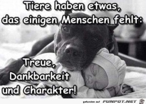 Tiere.jpg auf www.funpot.net