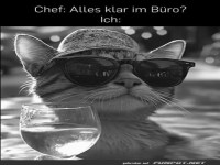 Im B�ro