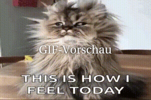 witzige Bilder