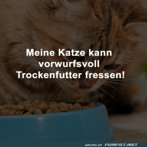 fun-Bild: Vorwurfsvoll fressen