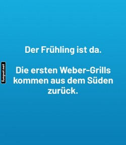 Fr�hling:-Weber-Grills-sind-zur�ck.jpg auf www.funpot.net