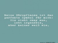 Meine B�ropflanze und ich: ein Vergleich