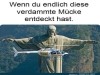 weiter