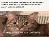 weiter