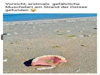 Gefhrliche Strand-Beier gesichtet!
