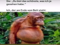 Wenn Komplimente echte Wunder wirken!