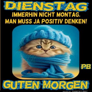 Dienstagsktzchen-im-Wintermode.jpg von Mattis