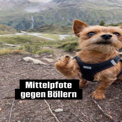 Mittelfpote-gegen-B&ouml;llern.jpg von Fossy