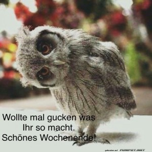 fun-Bild: Wollte mal gucken, was ihr so macht