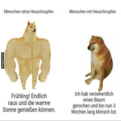 Fr&uuml;hlingsfreuden-vs.-Pollenprobleme!.jpg von Valentina