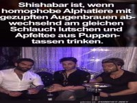 Wenn Alphatiere Shishabar spielen