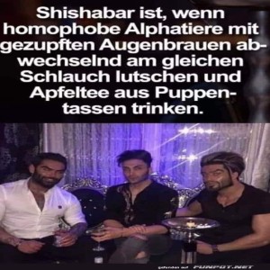 Wenn-Alphatiere-Shishabar-spielen.jpg von Tarik1967