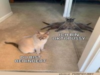 Oktopussy trifft auf harte Realit�t!