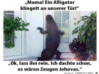 ein-alligator