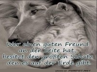 Schatz