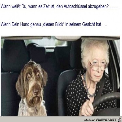 Fuehrerschein-2011.jpg von Spassvogel