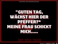 Pfeffer