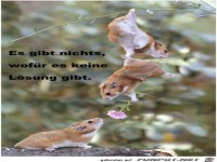 es-gibt-nichts-wofuer-es-keine-loesung-gibt