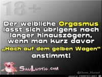 Der weibliche Orgasmus