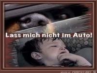 Lass mich nicht