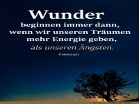 Wunder