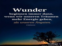 Wunder