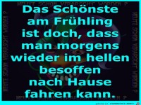 Das schoenste am Fruehling