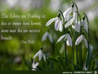 Das schoene am Fruehling