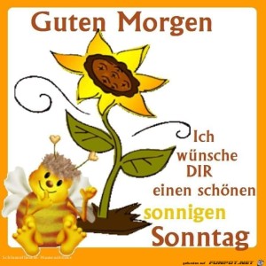 Begrüßungsbild
