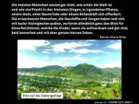 Blick fuer Kleinigkeiten