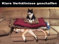 Klare Verh�ltnisse
