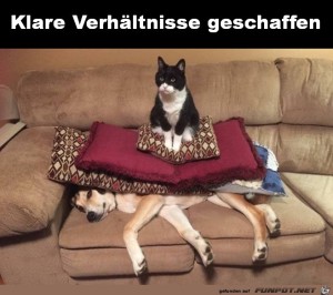 Klare-Verhltnisse.jpg auf www.funpot.net