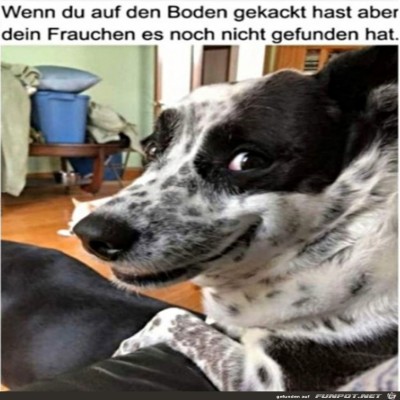 Hund-wartet.jpg von Hannah