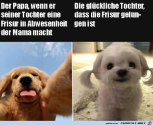 Lustige-Frisur.jpg auf www.funpot.net