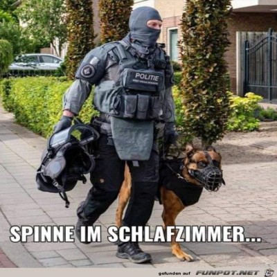Spinne-im-Schlafzimmer.jpg von Karan