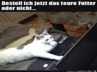 Mal gut �berlegen