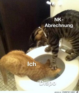 Die-Nebenkosten-Abrechnung.jpg auf www.funpot.net