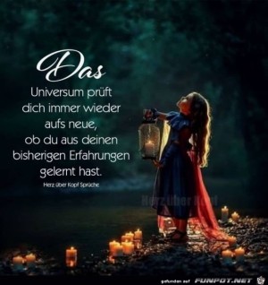 Das-Universum-prft-dich-immer-wieder.jpg auf www.funpot.net