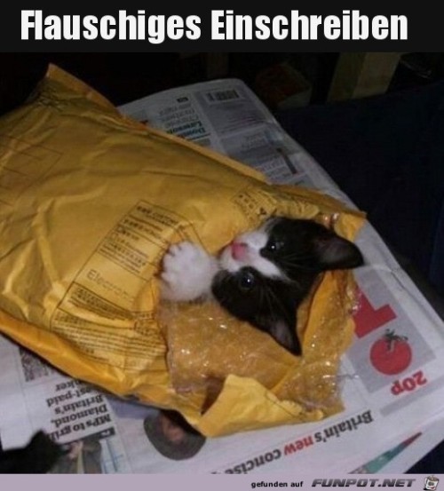 Tierisches-Einschreiben.jpg auf www.funpot.net