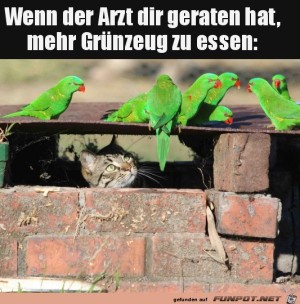 Mehr-Grnzeug-essen.jpg auf www.funpot.net