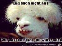L�g mich nicht an